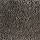 Stanton Carpet: Shaggy Plush Shadow